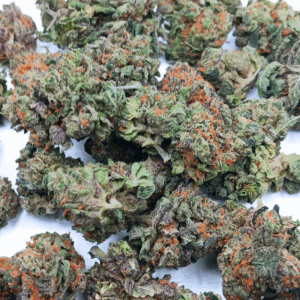 Thin Mint Girl Scout Cookies