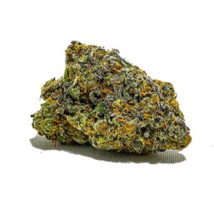 Roadkill Skunk AAAAA