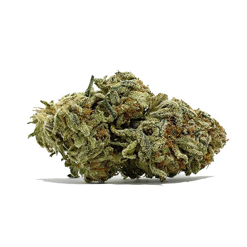 Black Nuken AA