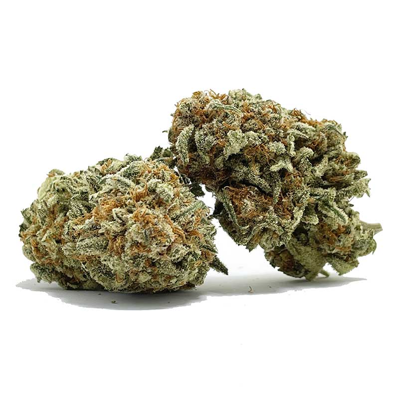 Black Nuken AA