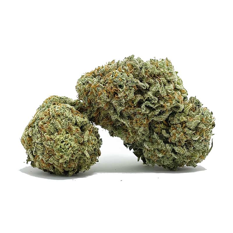 White Zombie AA