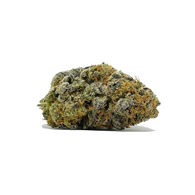 Maui AA