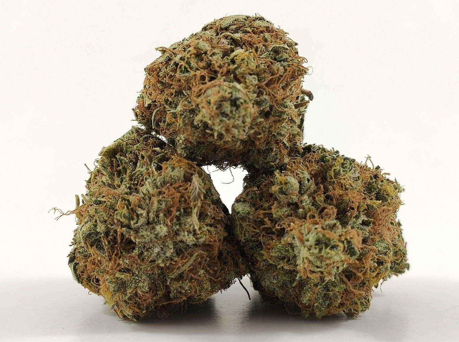 Dutch Dream