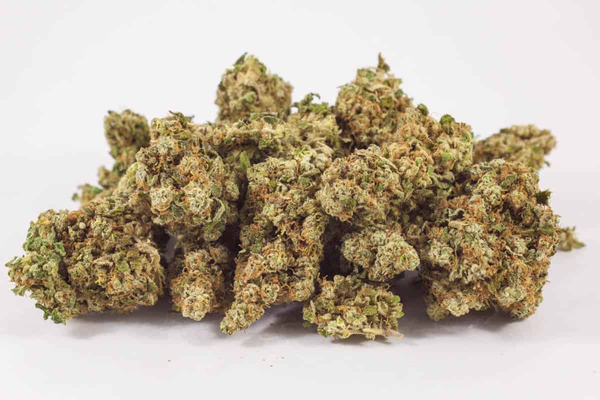 Lemon Skunk Haze