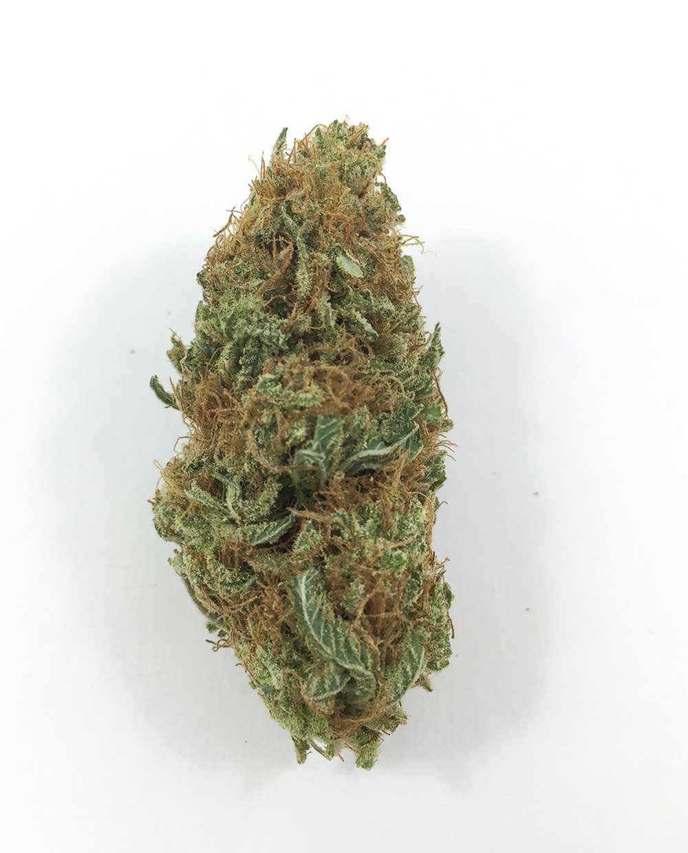 Red Durban Poison