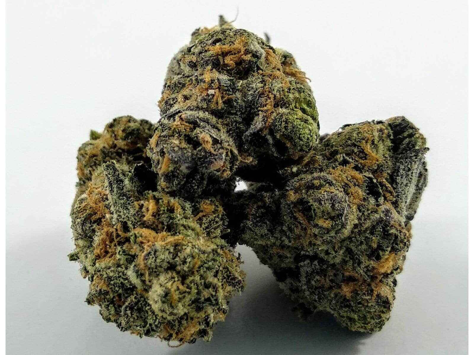 Special Kush