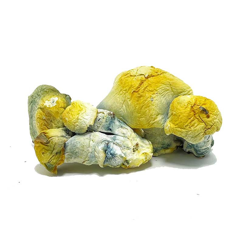TAT Smurf Mushrooms