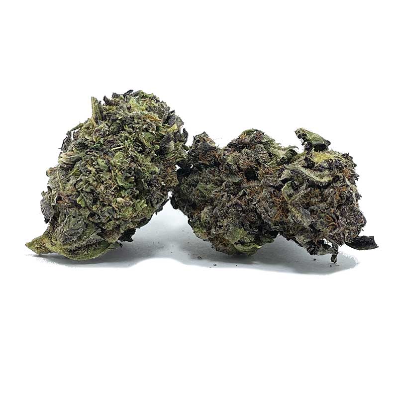 Critical Purple AA