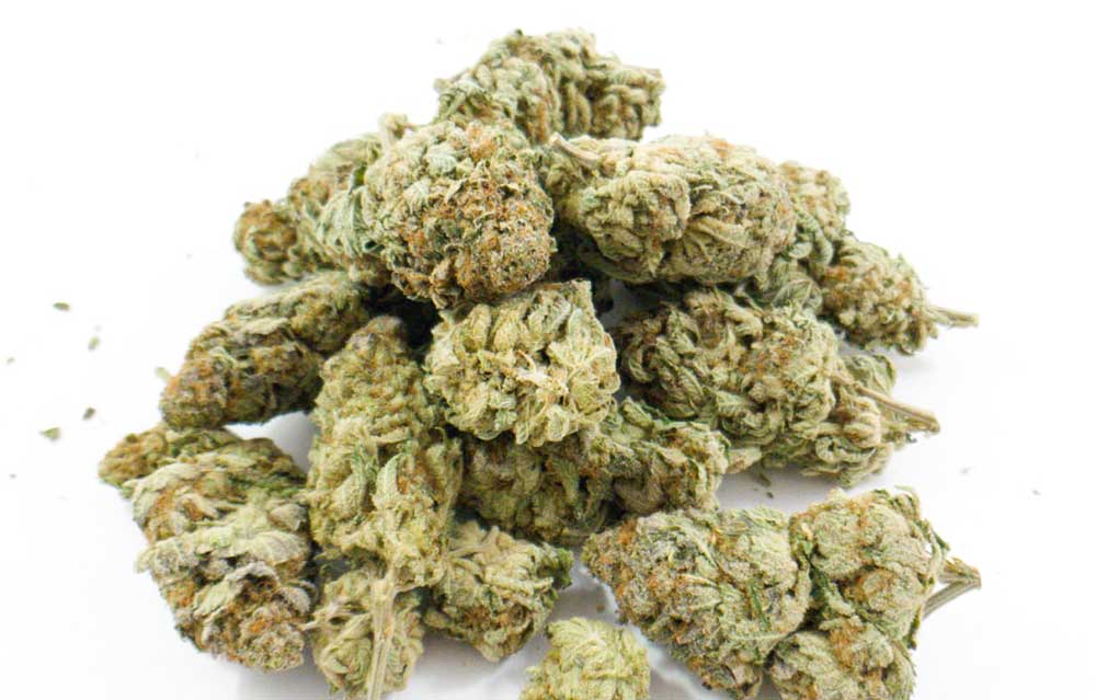 Chunky Cheese