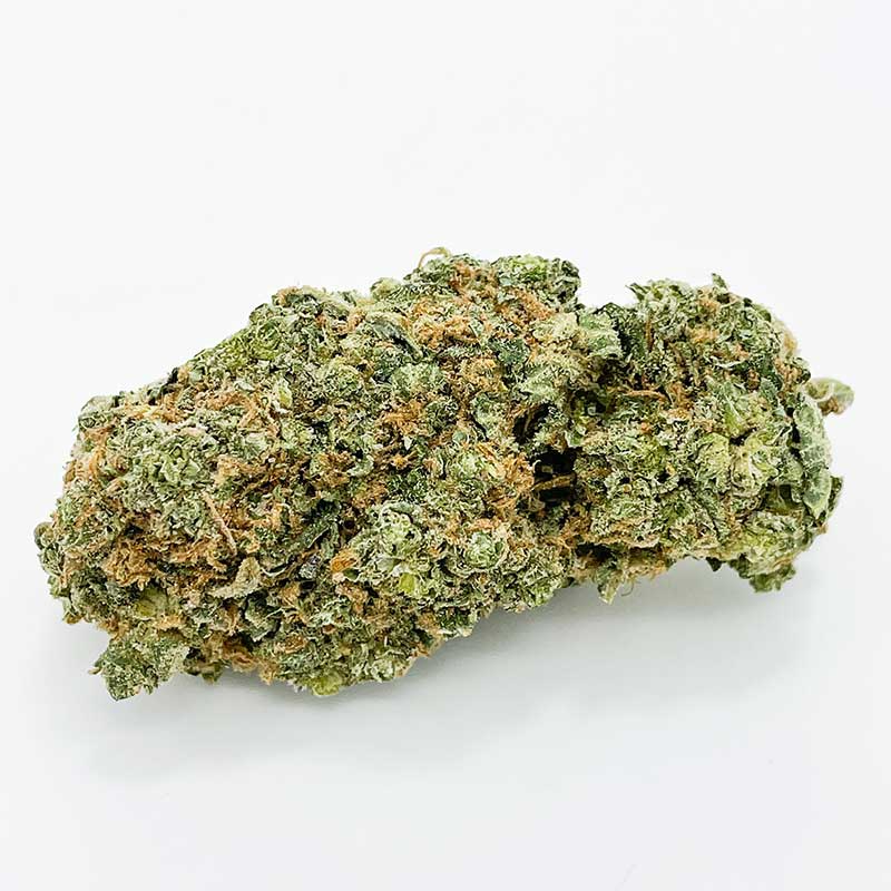 Alien Dawg - AA