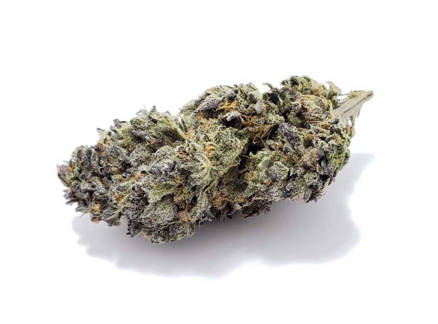 Bacio Gelato