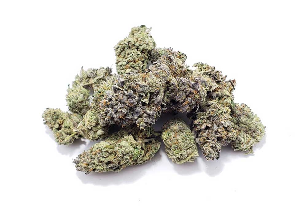 Bacio Gelato