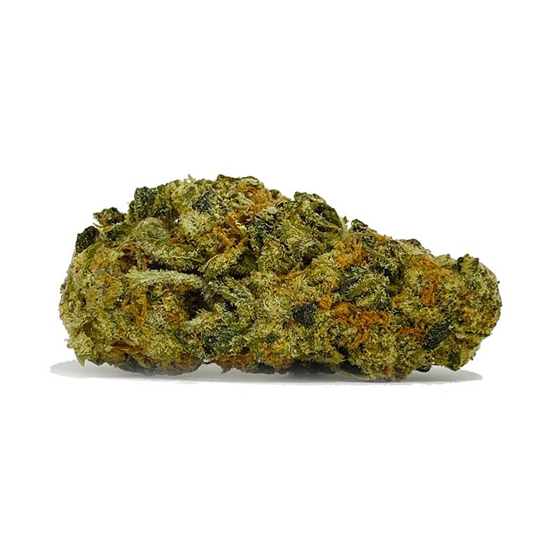 Biscotti AA