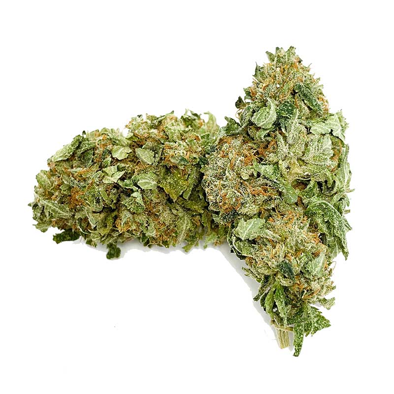 Blackberry Bubba AA