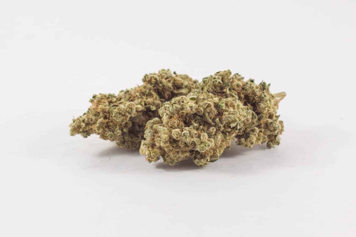 Blue Champagne