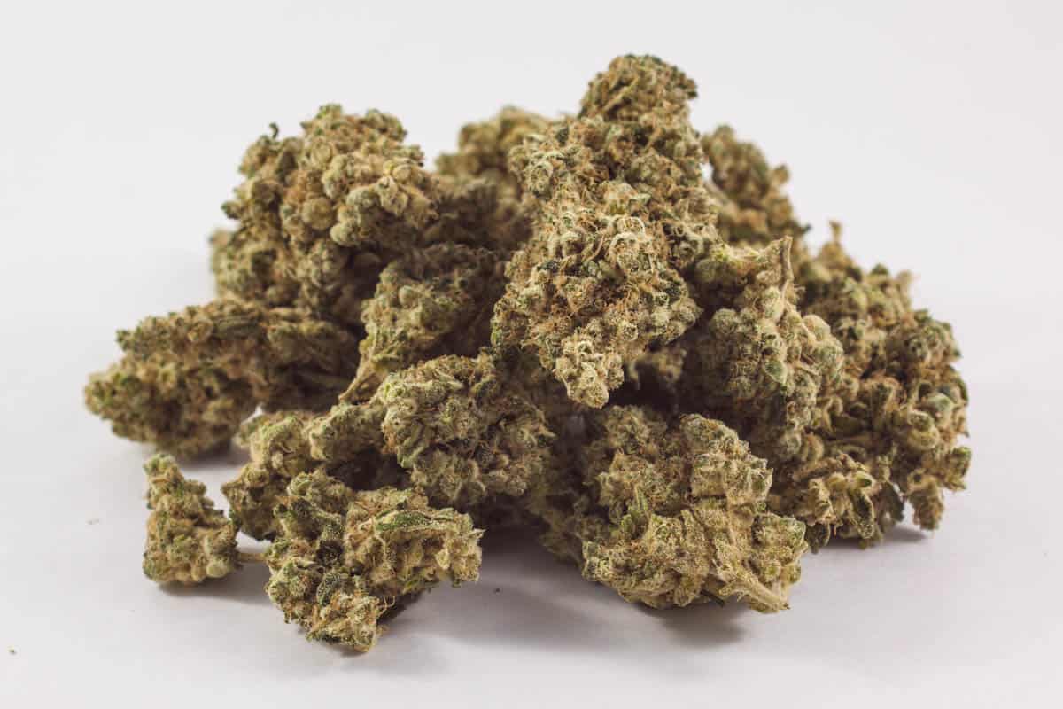 Blue Champagne