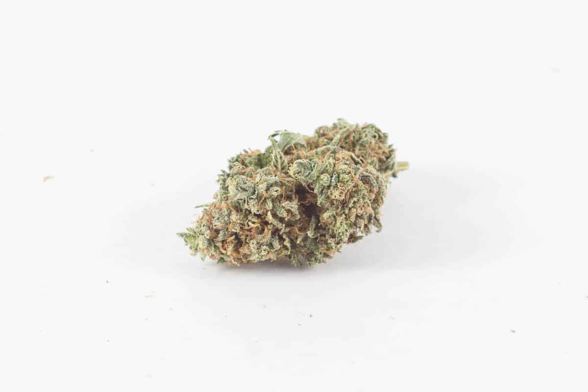 Blueberry Skunk