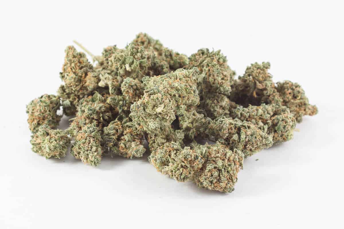 Blueberry Skunk