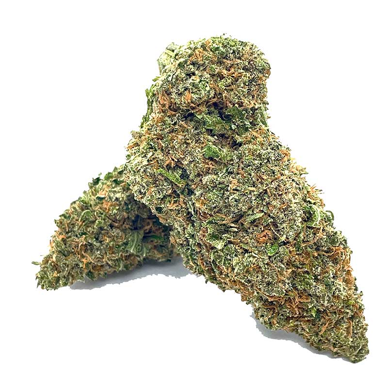 Blueberry Ghost OG AAA