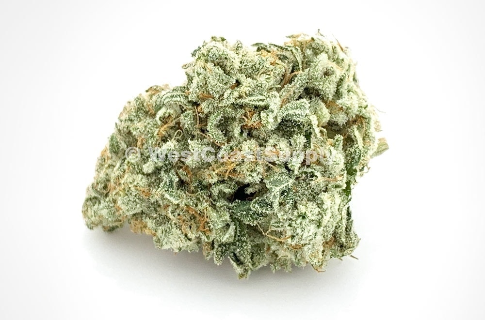 Cali Haze AAA