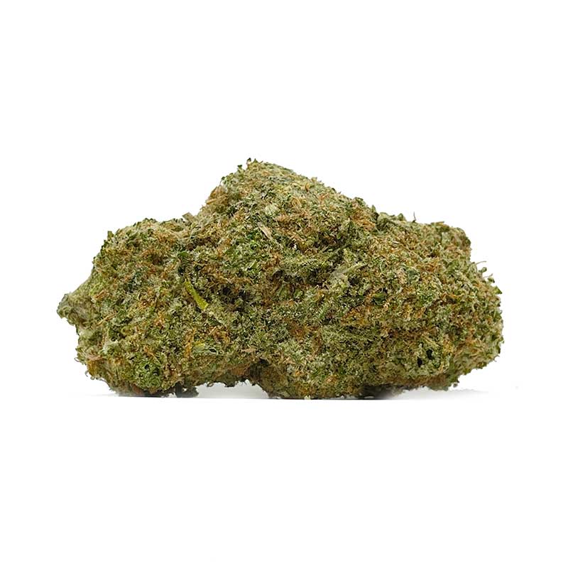 Champagne Kush AAA