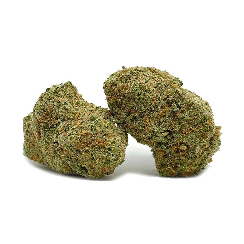 Champagne Kush AAA