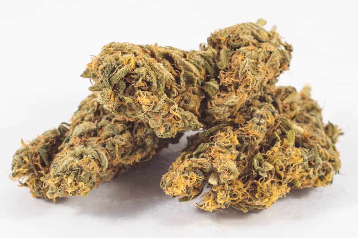 Charlotte's Web 2:1 CBD:THC