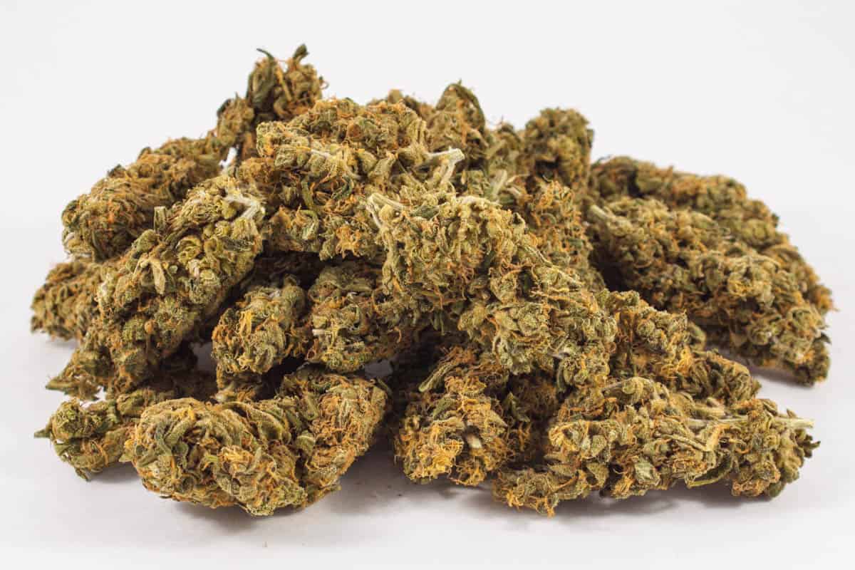 Charlotte's Web 2:1 CBD:THC