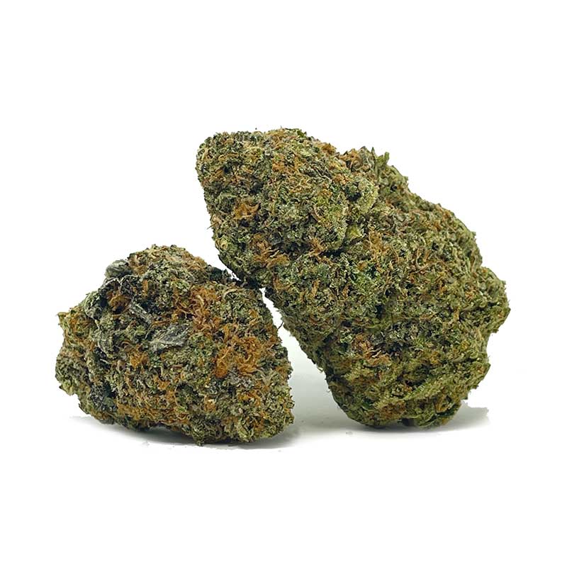 Chocolate Mint OG AAA