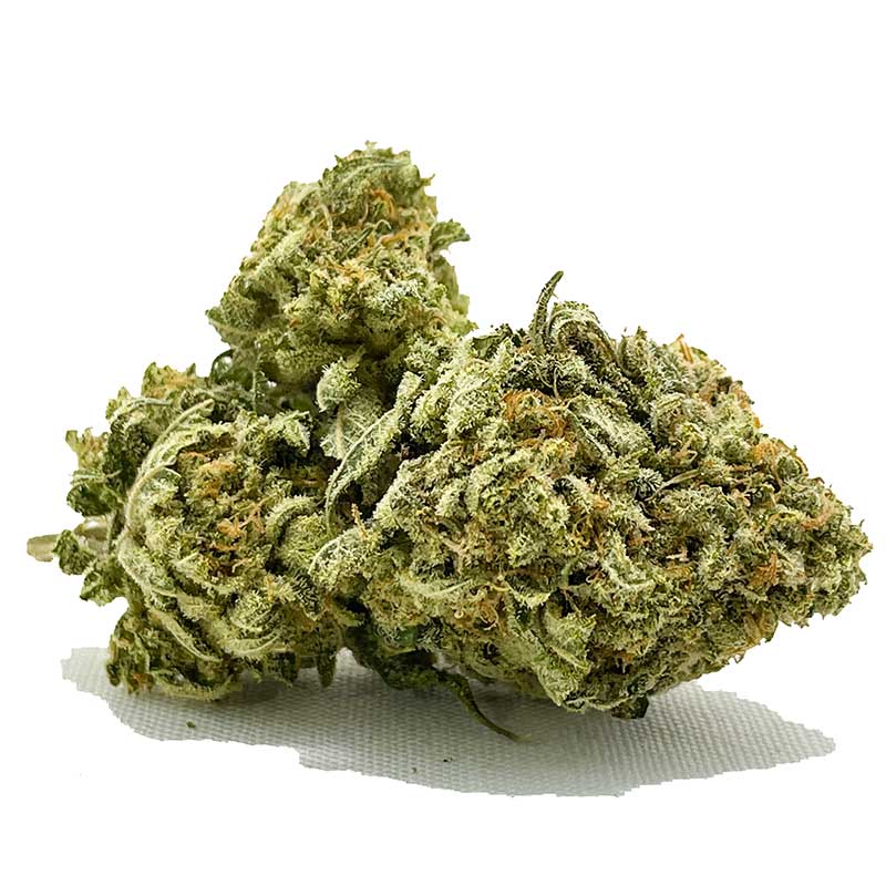 Papaya AA