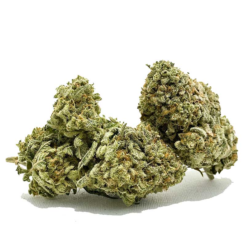 Papaya AA