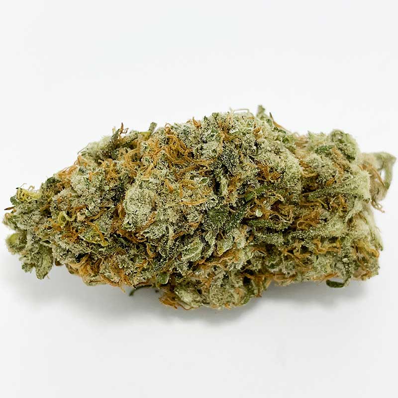 Critical Widow AA