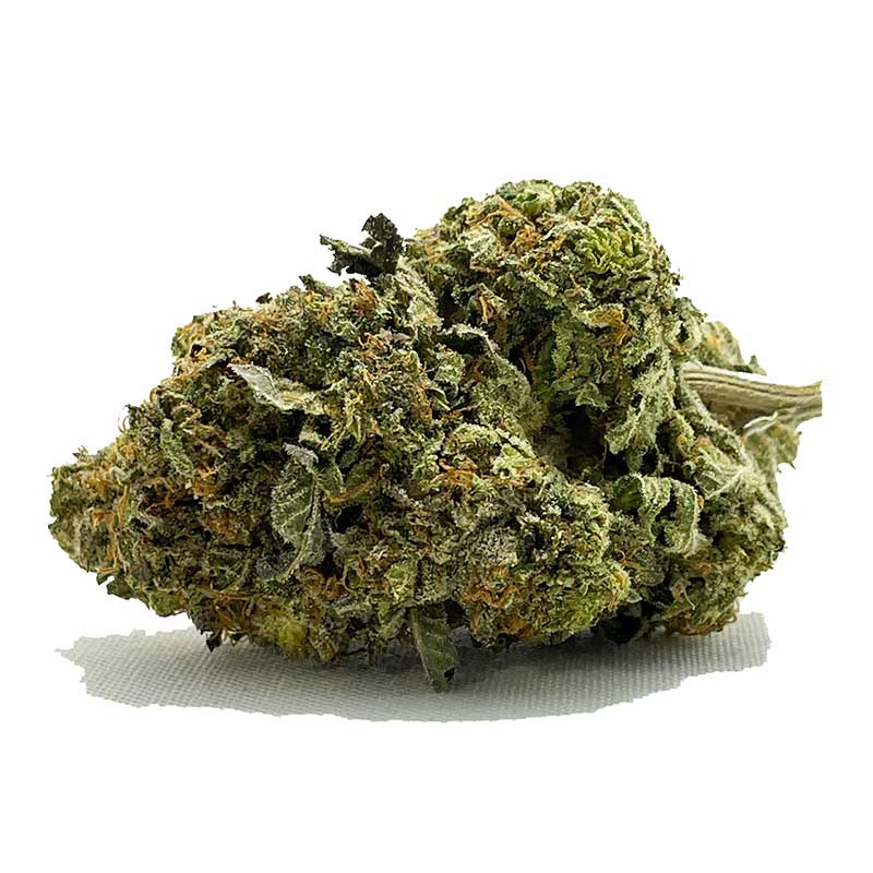 G13 AA