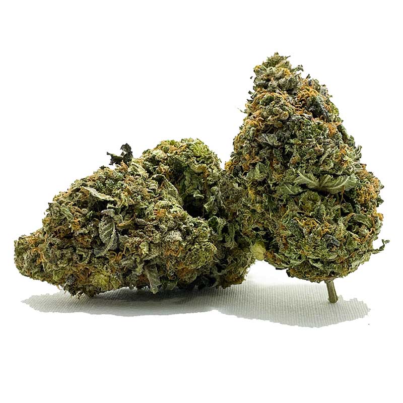 G13 AA