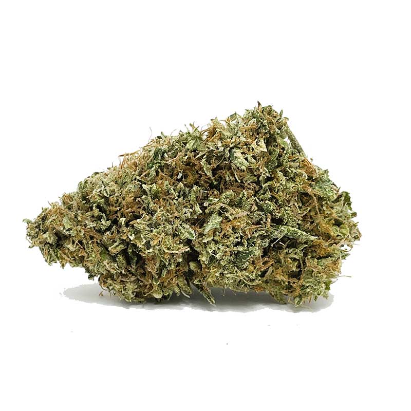 GMO Cookies AA