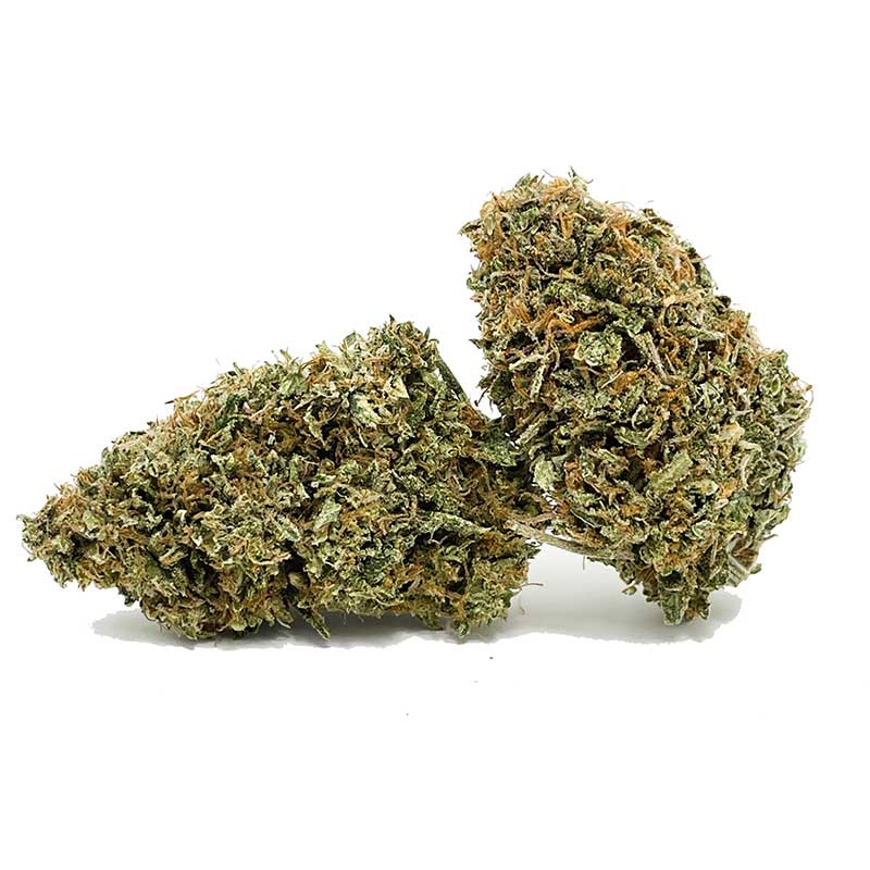 GMO Cookies AA