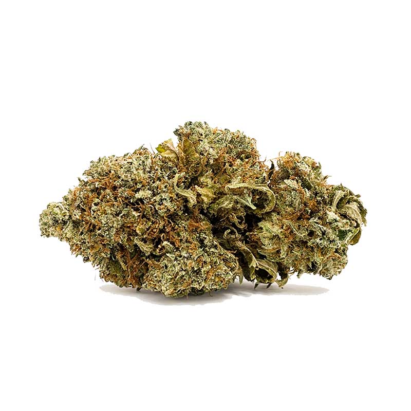 Grand Master Kush AA