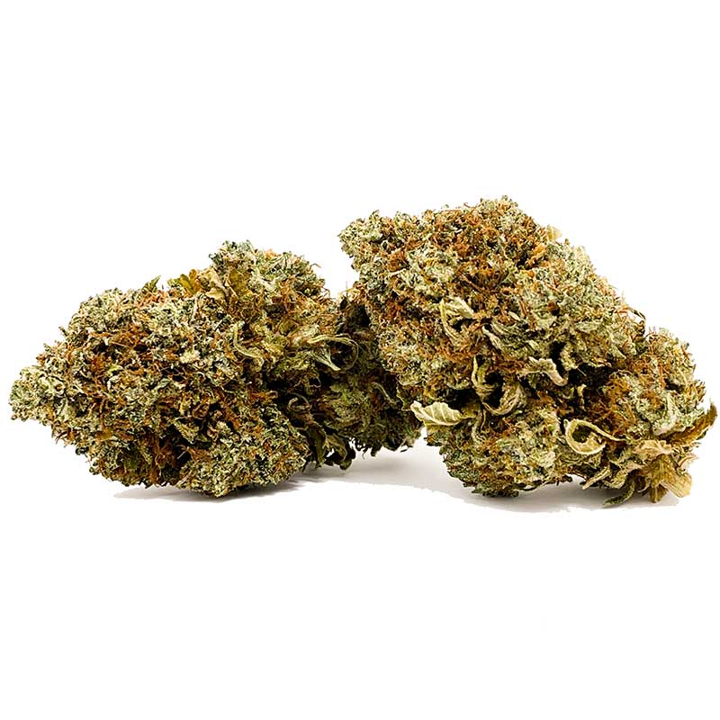 Grand Master Kush AA