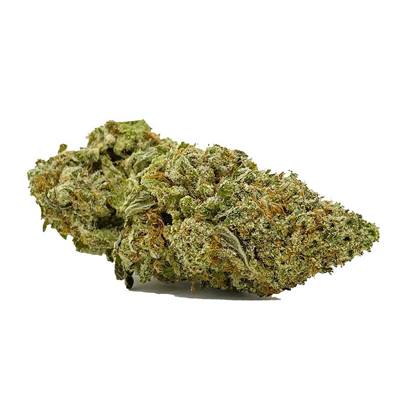 Hash Plant AAA