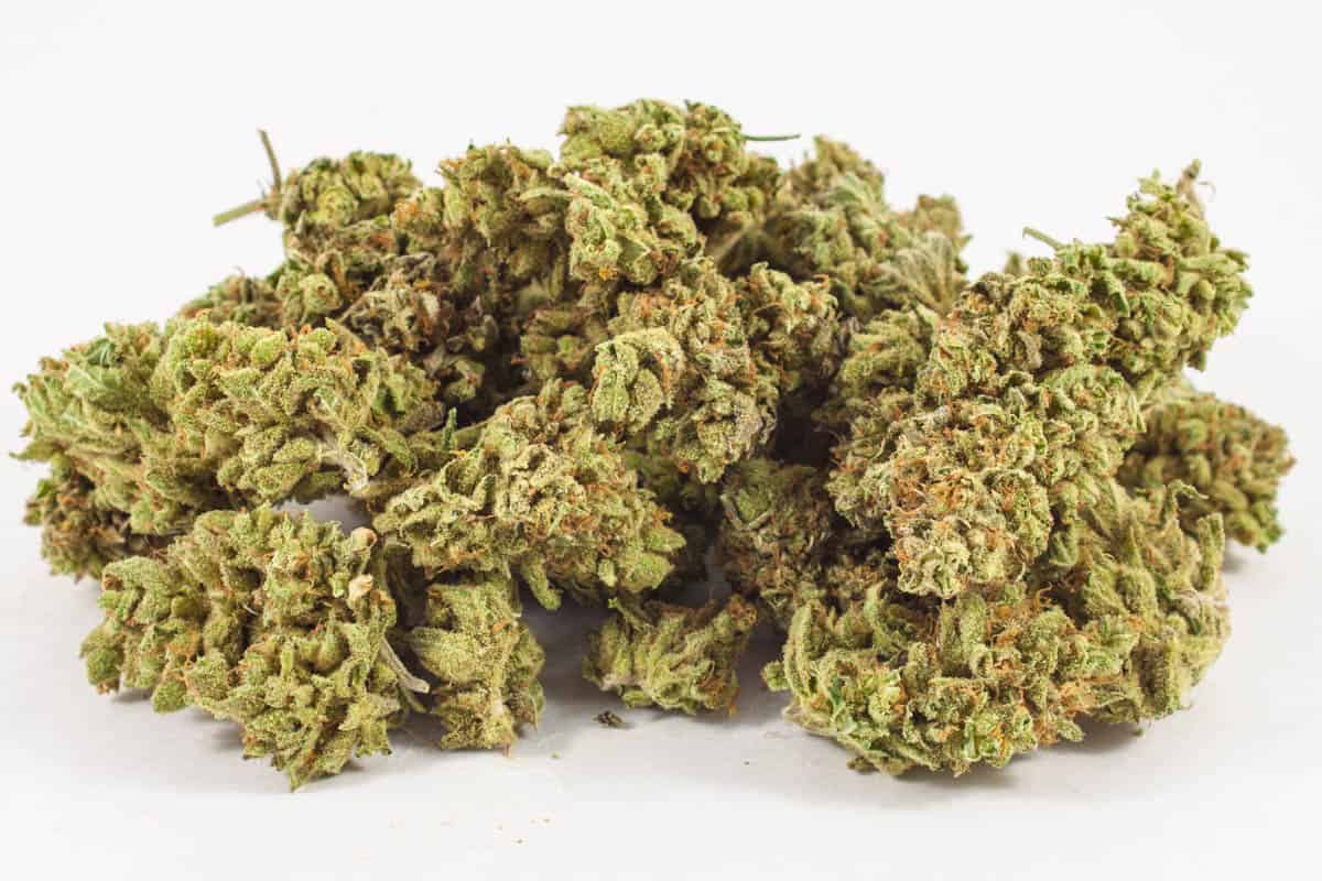 Island Sweet Skunk