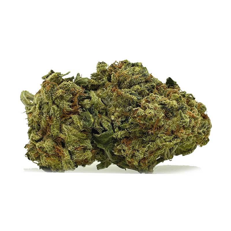 Jet Fuel AA