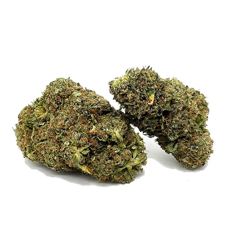 Key Lime Pie AA