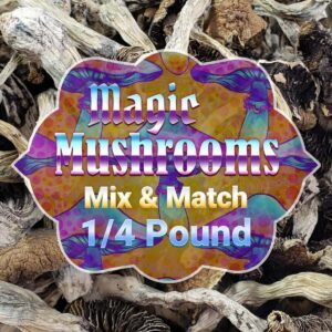 Psilocybin Bundles