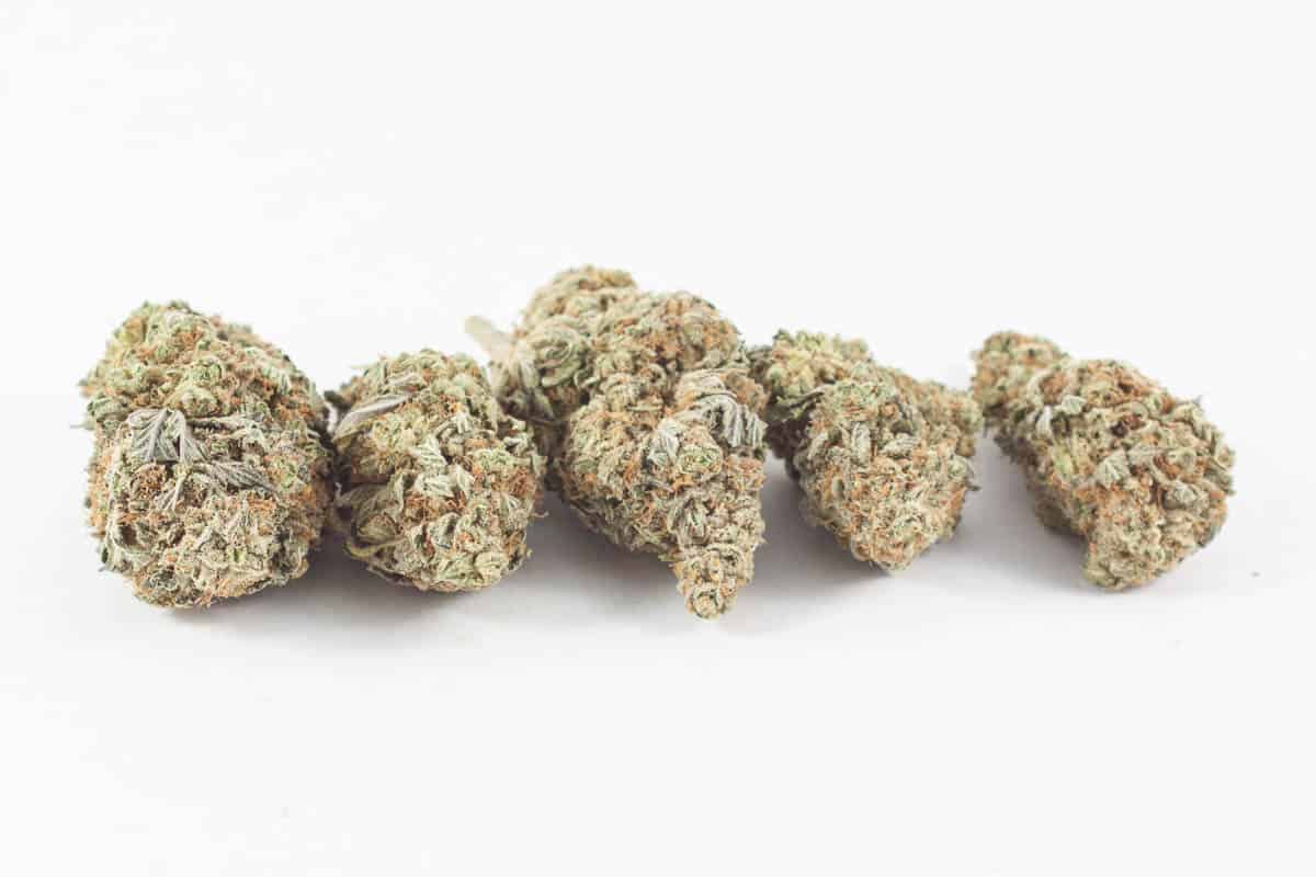 Mango Dream
