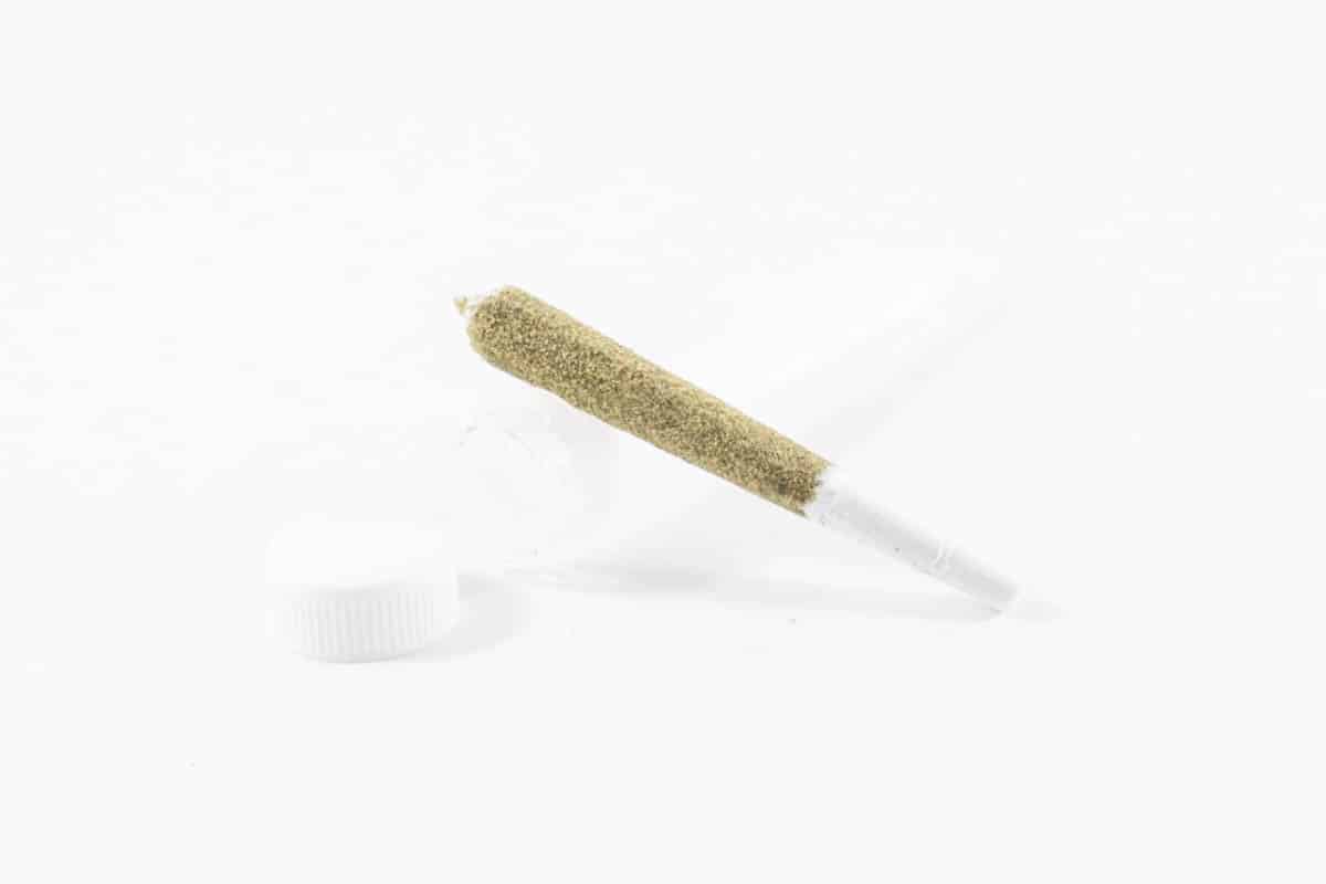 Medusa Botanical Bangers (Premium Prerolls)