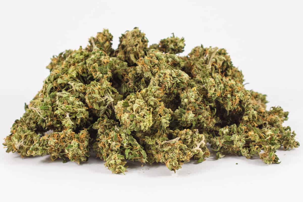 Mexican Sativa