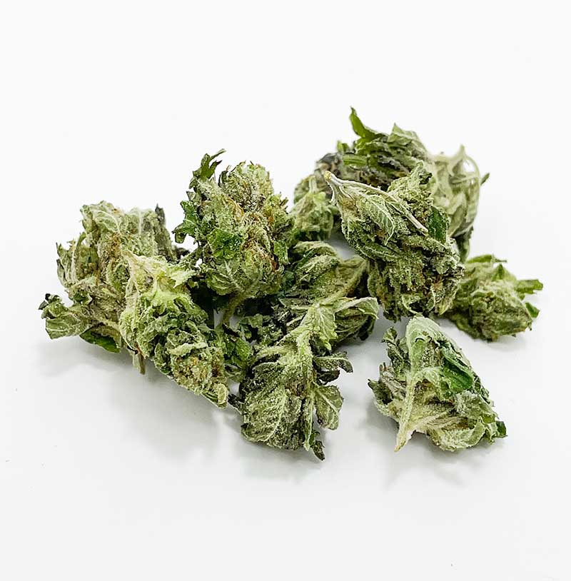 Micro Tuna Kush AA