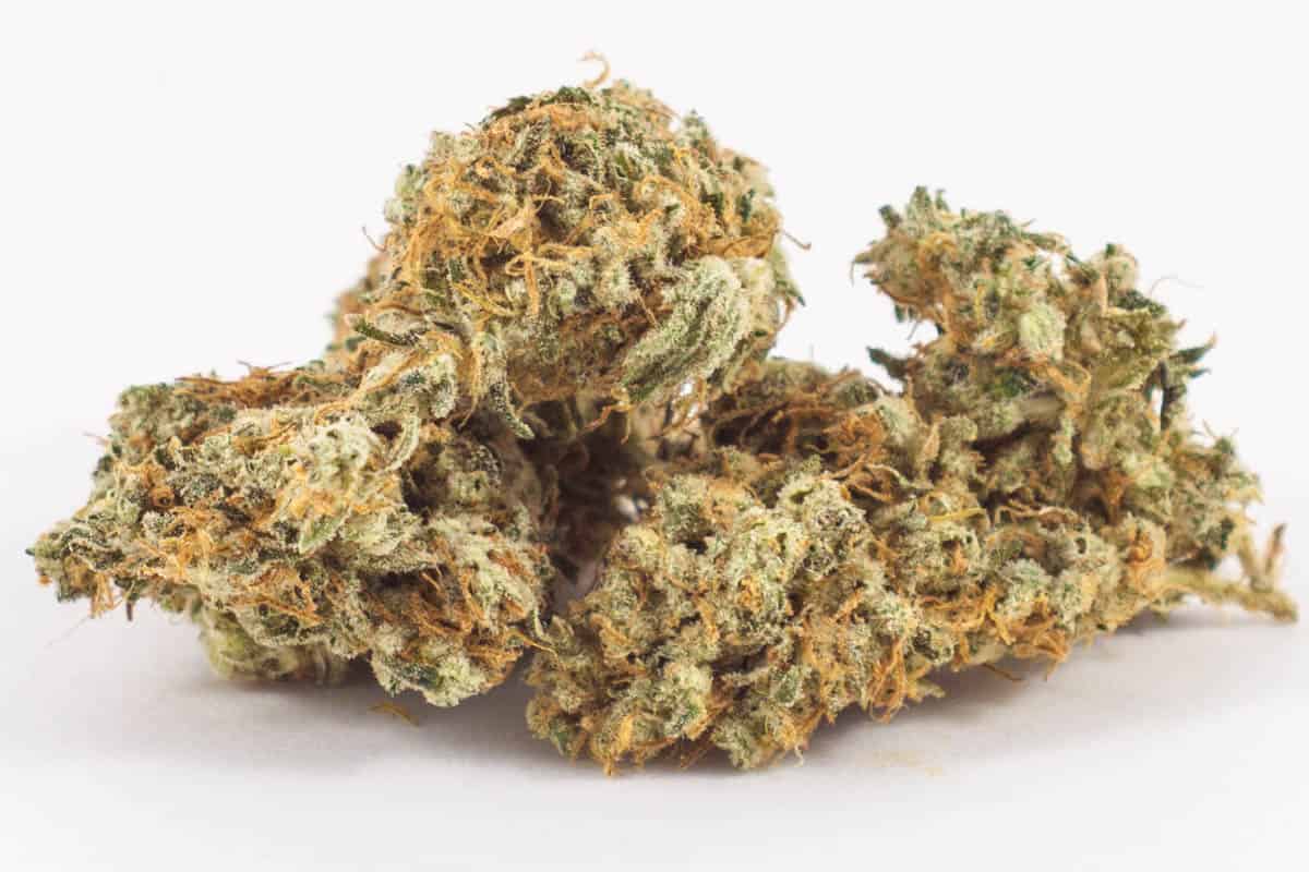 NYC Diesel