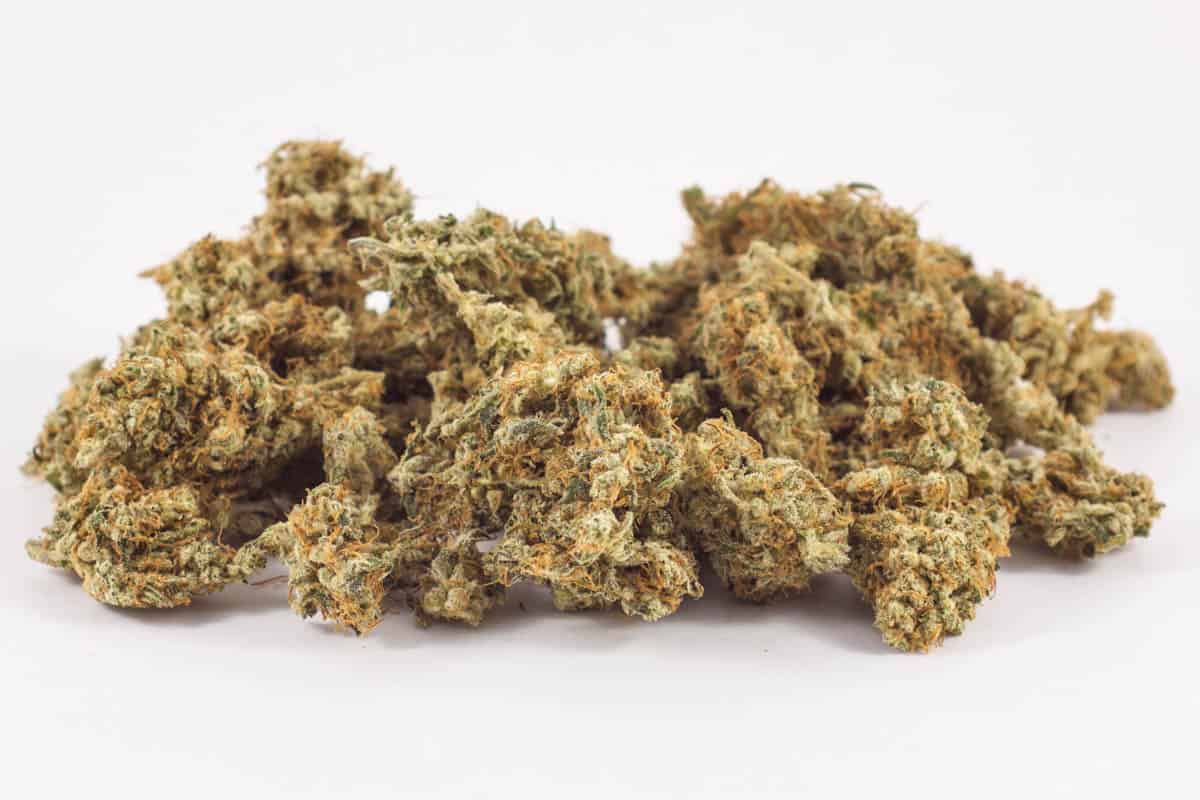 NYC Diesel