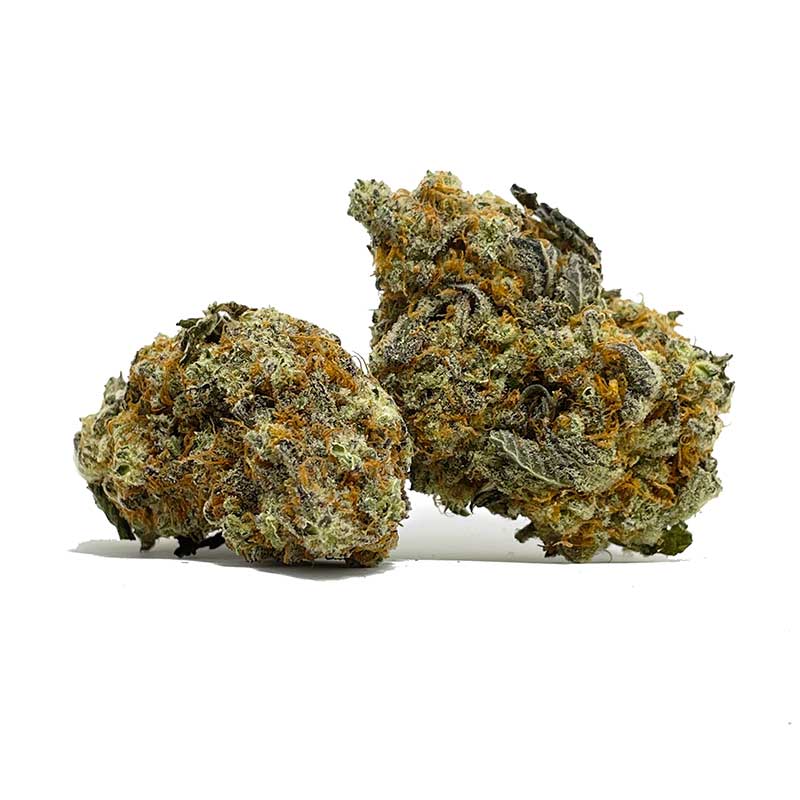 Pink Candy Kush AA